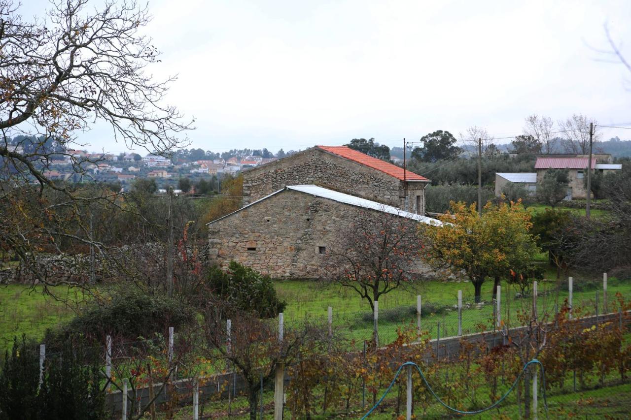 Casa D'Avo Serra Da Estrela Seia Bagian luar foto