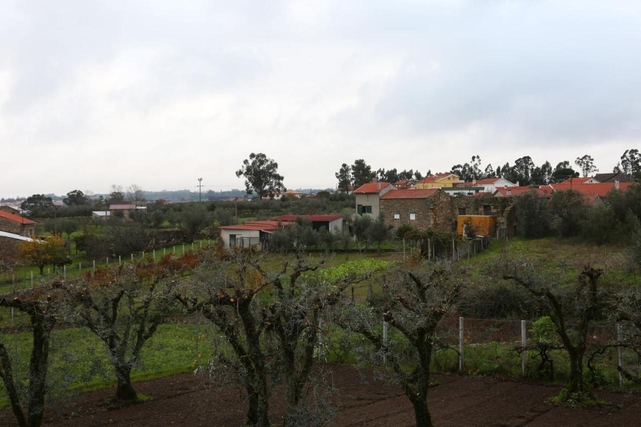 Casa D'Avo Serra Da Estrela Seia Bagian luar foto